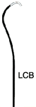 ڴ